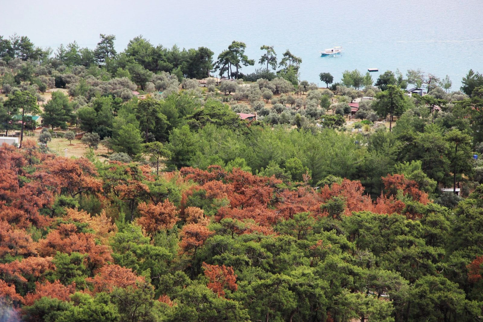Bu kez yangın değil kuraklık! Dünya listesinde ama adeta can çekişiyor