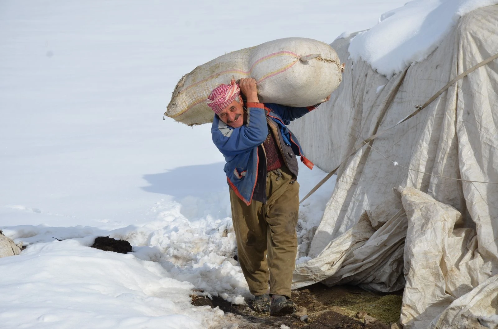 Şehir hayatından sıkıldı yaylaya yerleşti! 2 bin 650 rakımlı yaylada tek başına yaşıyor