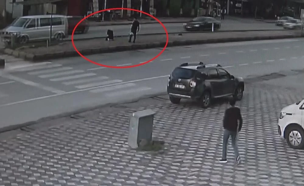 Taksi köpeğe çarptı: Kazayı gören kadın şoke oldu