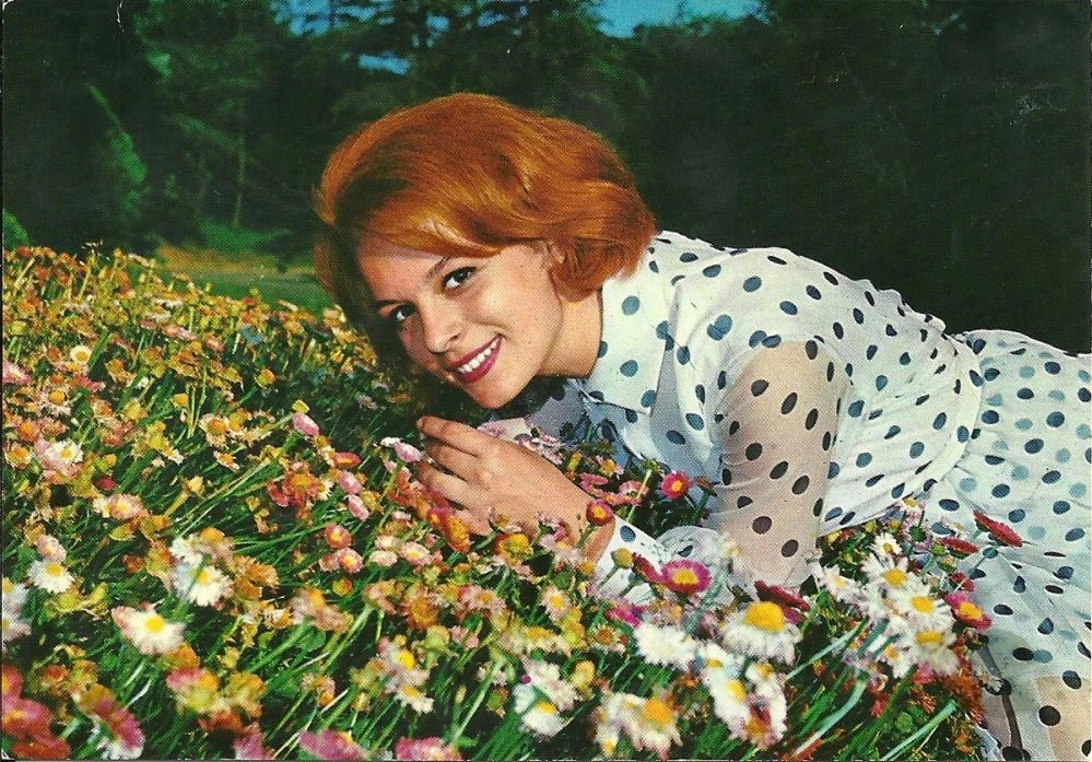 Hülya Koçyiğit'ten Engin Altan Düzyatan'a övgüler: Damadım dört dörtlük bir oyuncu