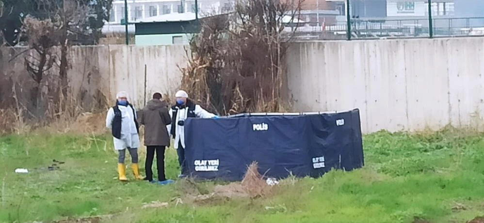 Yarısı köpekler tarafından parçalanmış erkek cesedi bulundu
