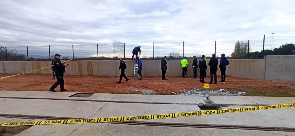 Yarısı köpekler tarafından parçalanmış erkek cesedi bulundu