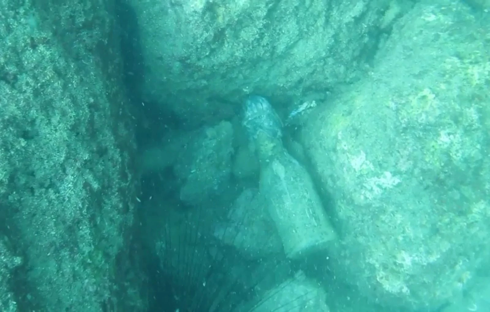 Ünlü profesör gördükleri karşısında şoke oldu! Bu semboller büyü mü?