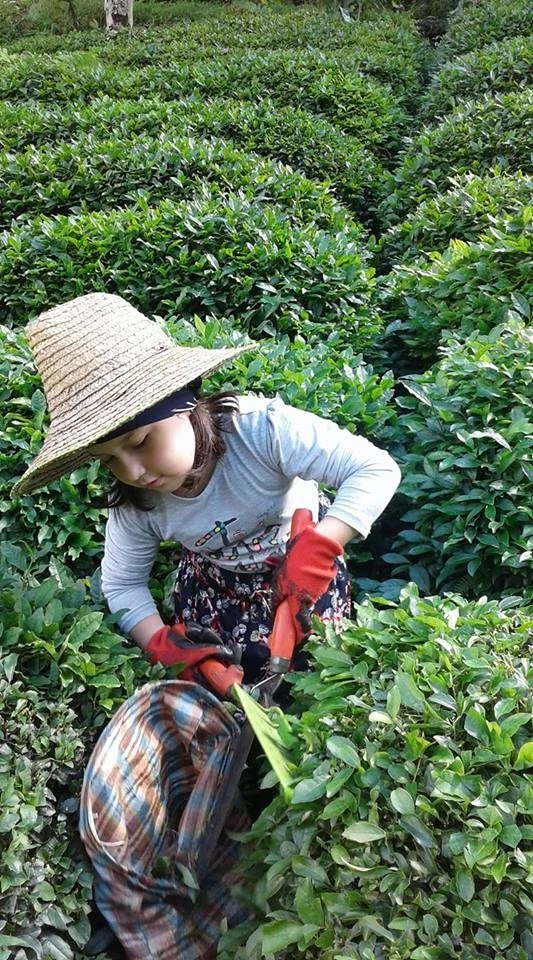 Rize’de ters yöne giren kamyon anne ve kızının ölümüne neden oldu