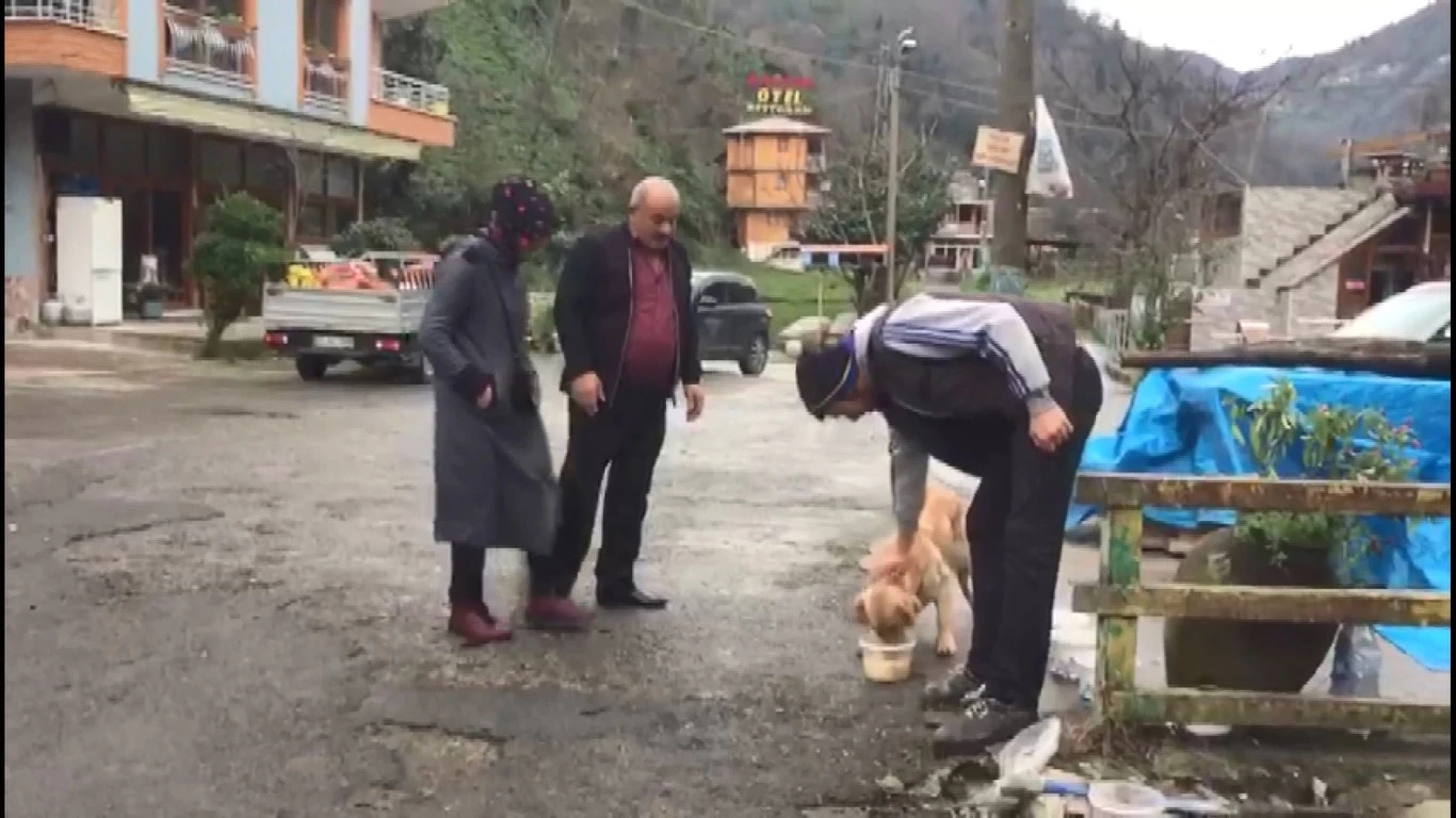 1 aydır sahibini bırakıldığı yerde bekliyor