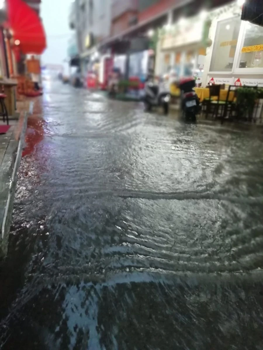 Kuşadası sele teslim oldu