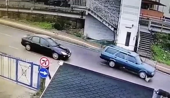 Yavru köpeği ezdi! Arkasına bile bakmadan kaçtı