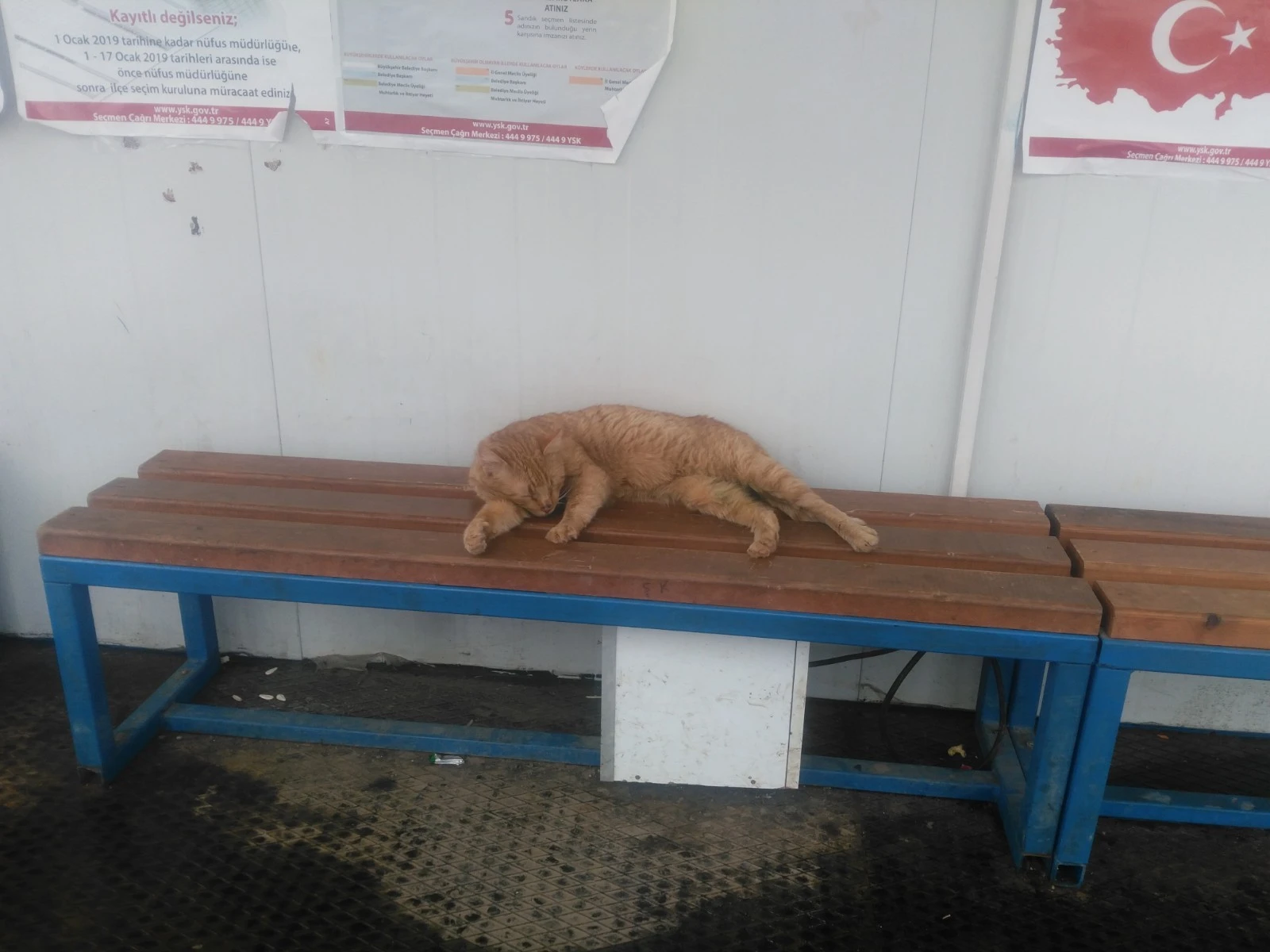 Soğuk ve kar yağışından korunmak için klimalı durağa sığındı