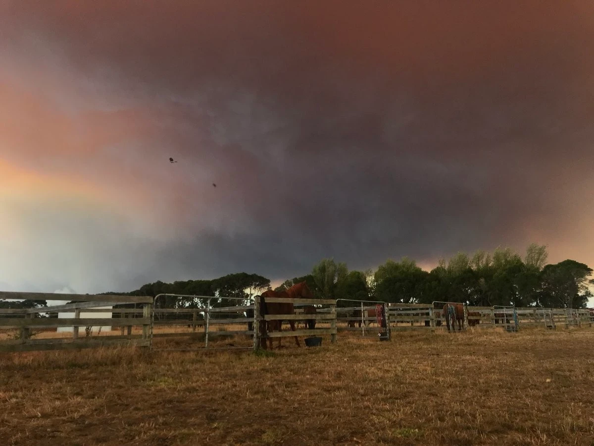 Avustralya’da büyük yangın: Yüzlerce itfaiye eri müdahale ediyor
