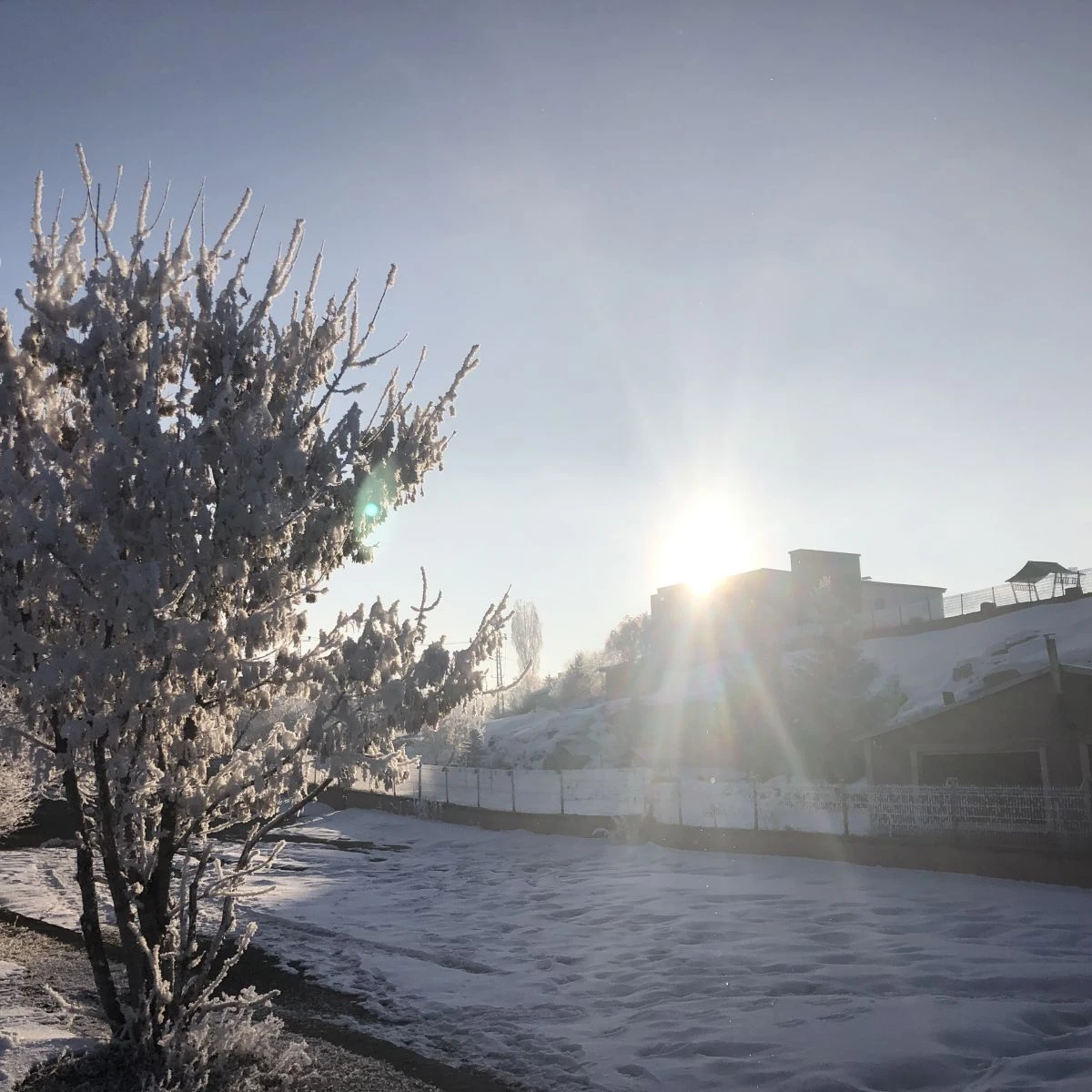 Doğu Anadolu buz tuttu: Kars eksi 20
