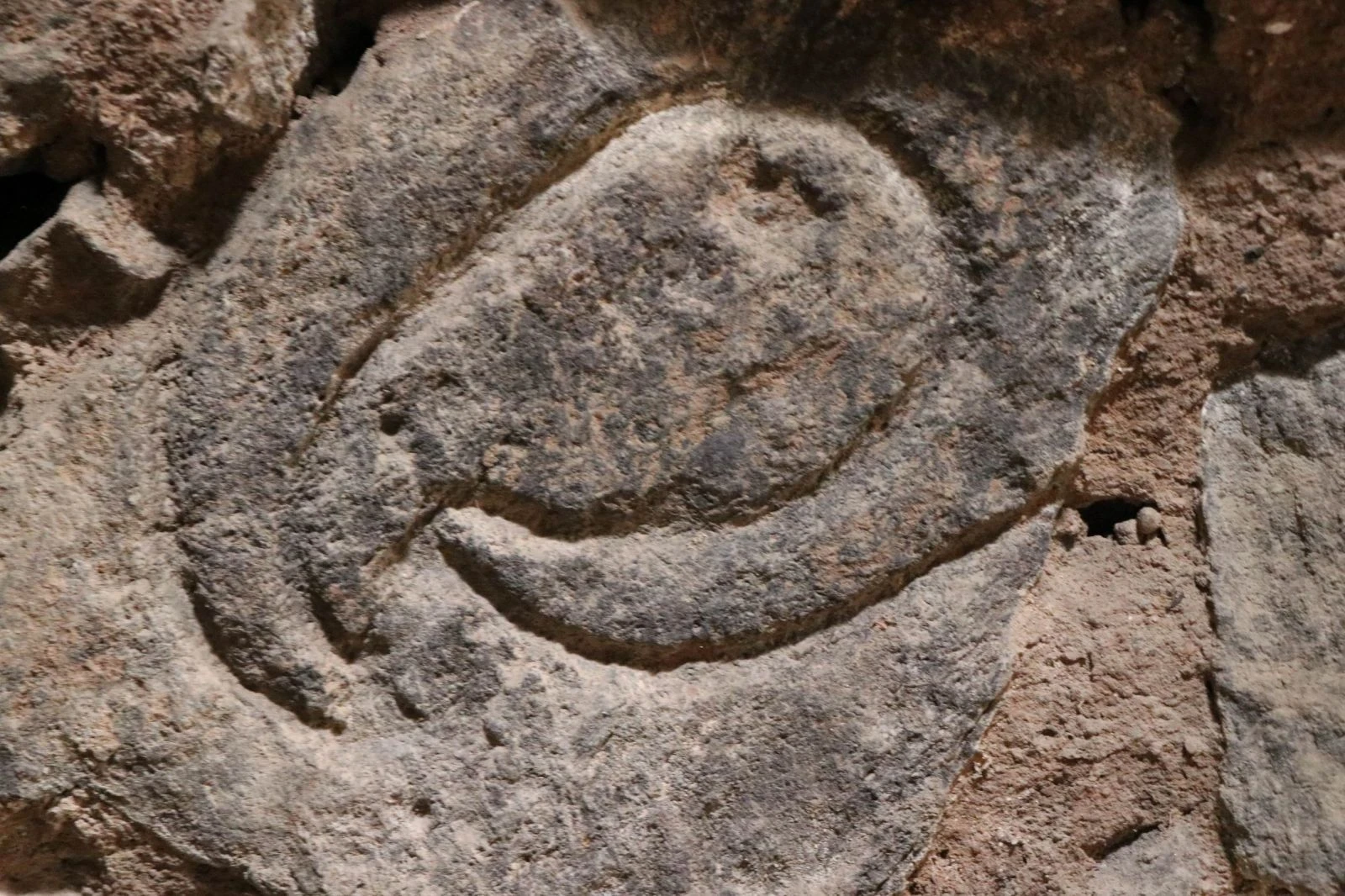 Ahırda 3 bin 500 yıllık Hitit yazıları bulundu