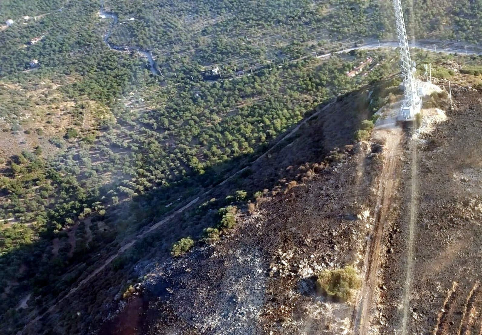 Muğla'daki yangında 5 hektar alan zarar gördü