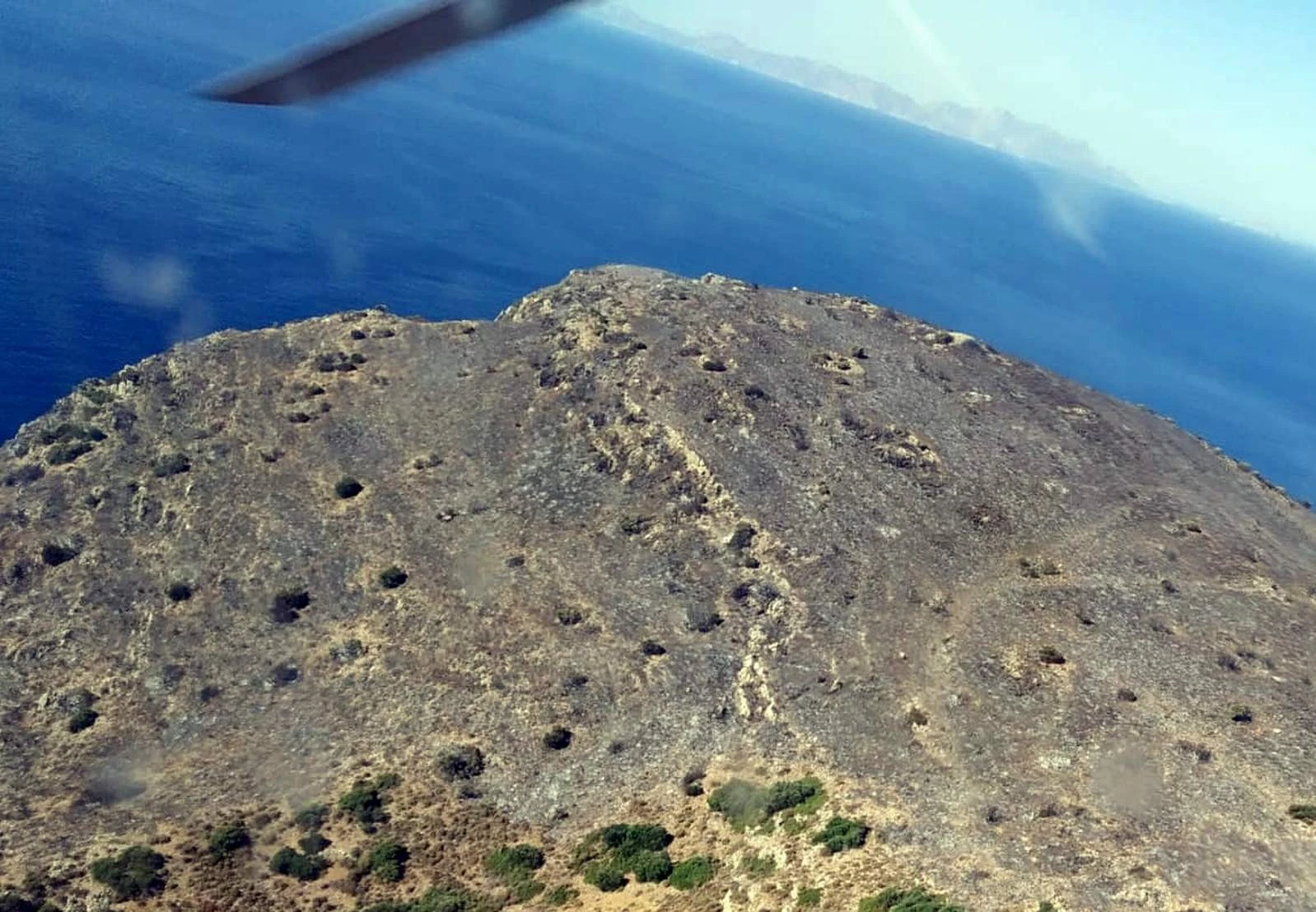 Muğla'daki yangında 5 hektar alan zarar gördü