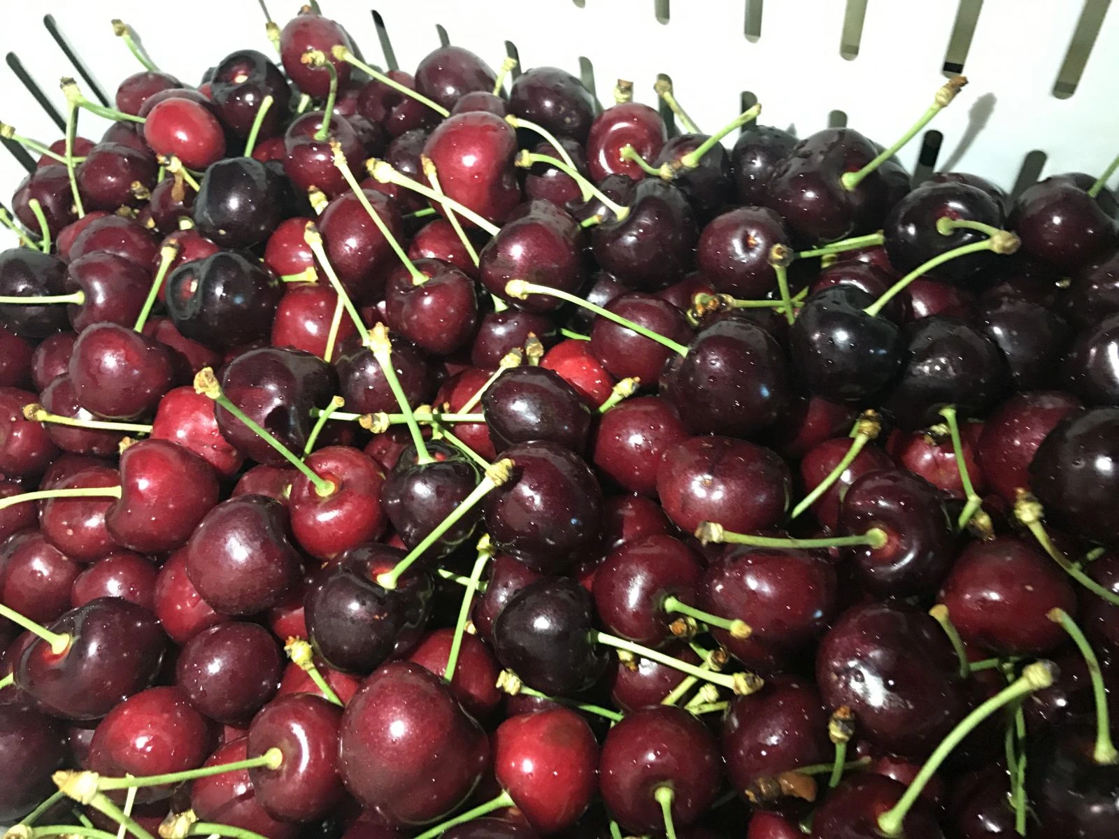 Türk kirazı Çin seddini aştı