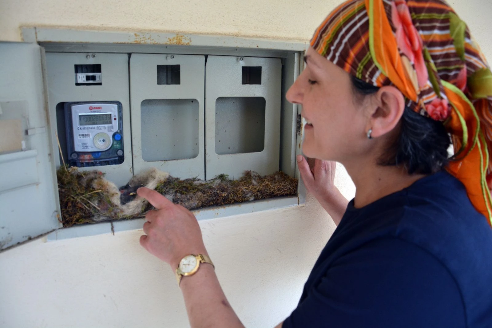 Saate yuva yaptı, ev sahibi elektriği kesti