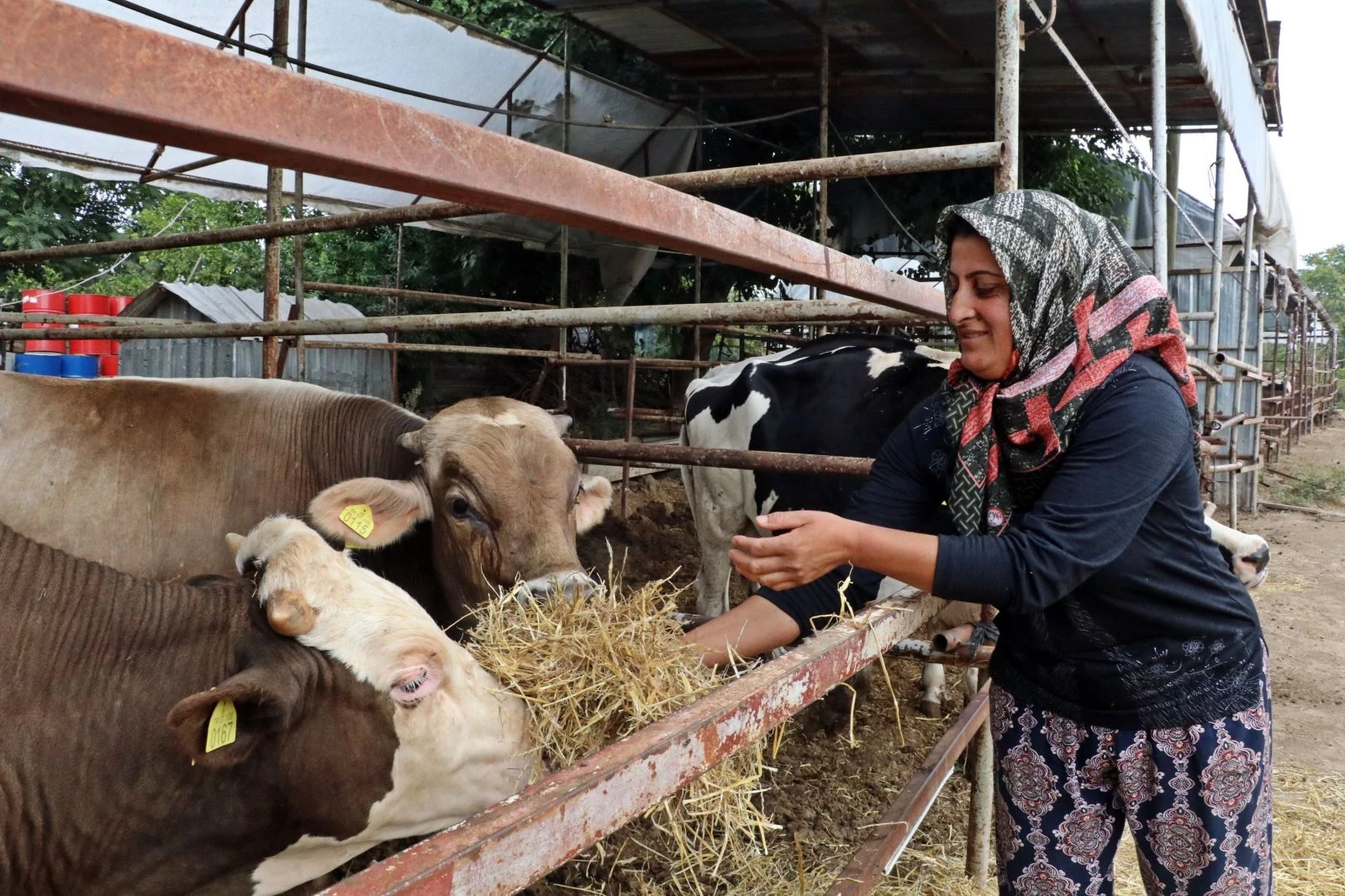 4 bileziğini satıp başladı! Servetine servet kattı
