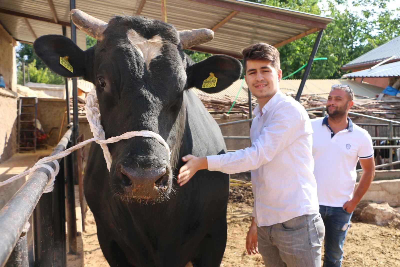 2 tonluk 'siyah inci' alıcılarını bekliyor