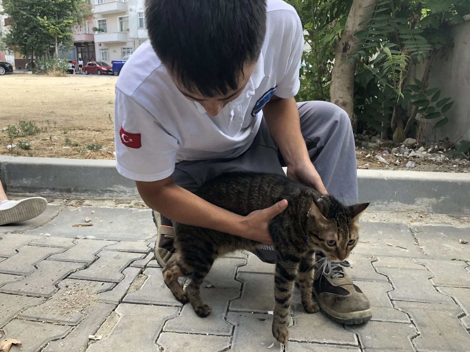 Kedisini öldü sanınca gözyaşlarına boğuldu