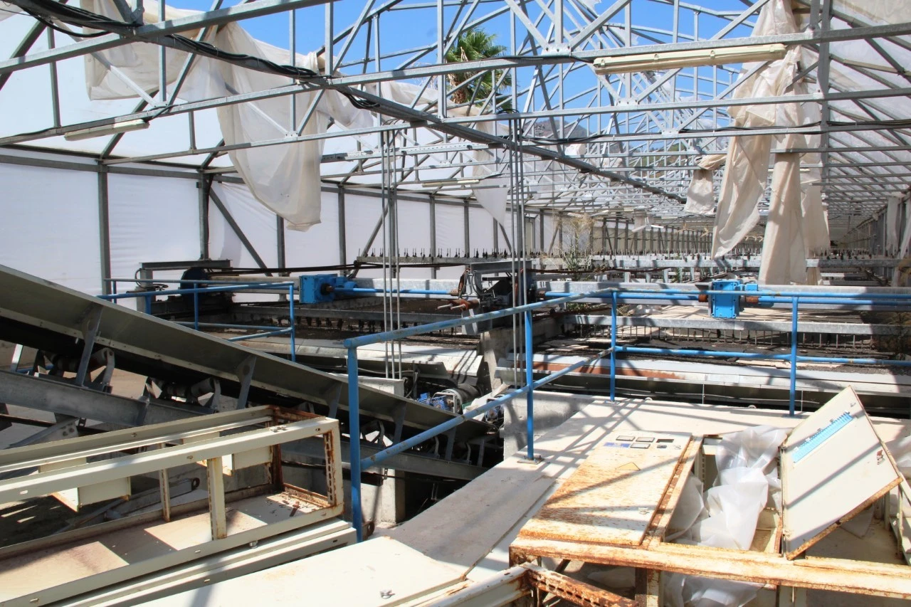 Kavga milli serveti çürüttü, zarar 5 milyon lira