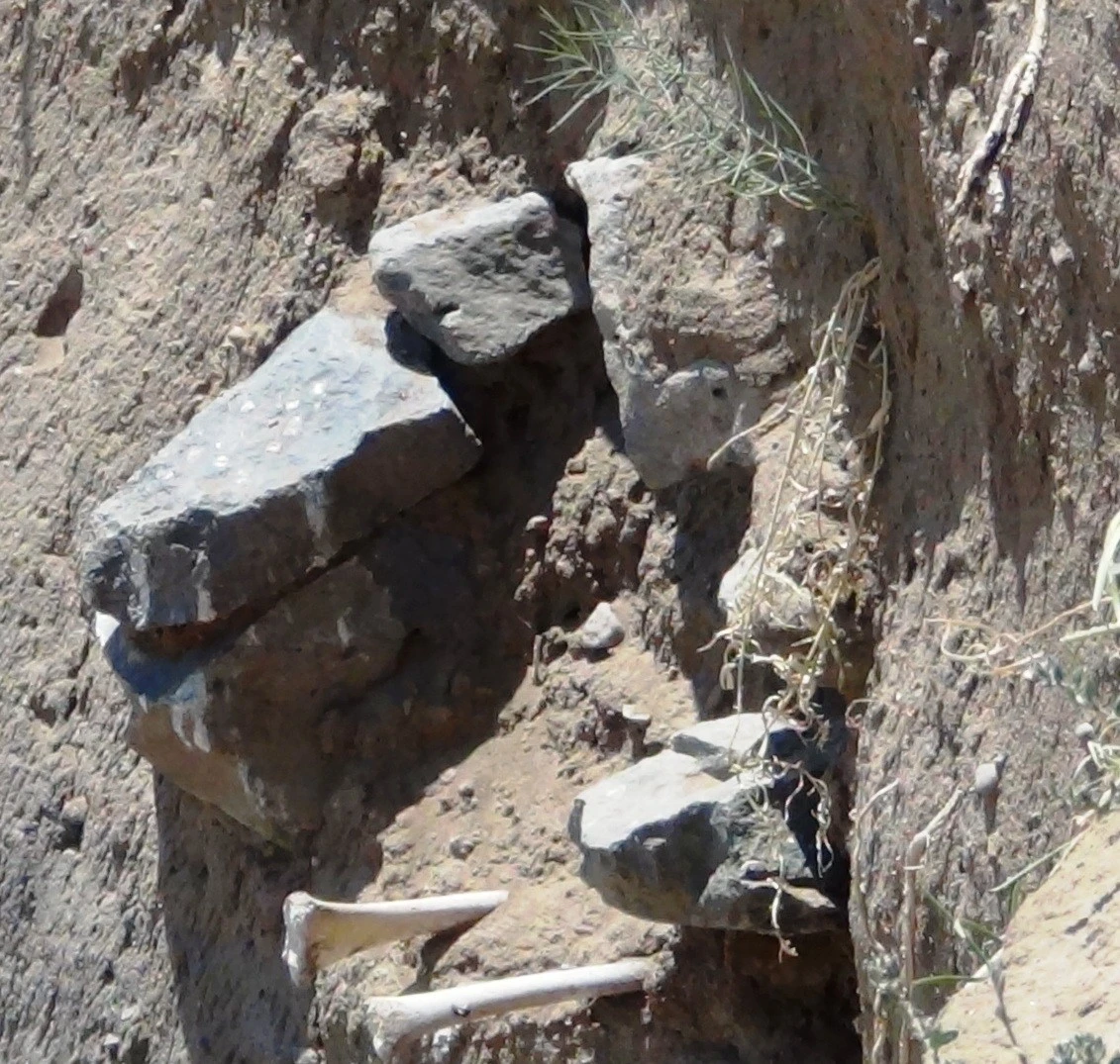 Toprak kayması tarihi mezarlığı açığa çıkarttı