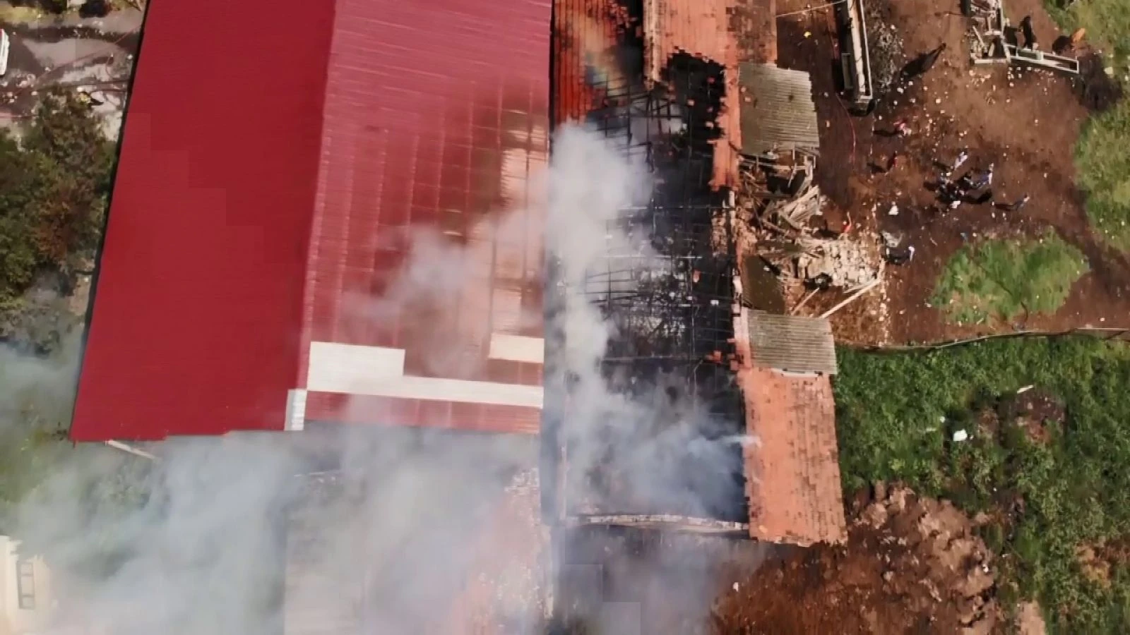 Arnavutköy'de feci olay: 11 büyükbaş yanarak telef oldu