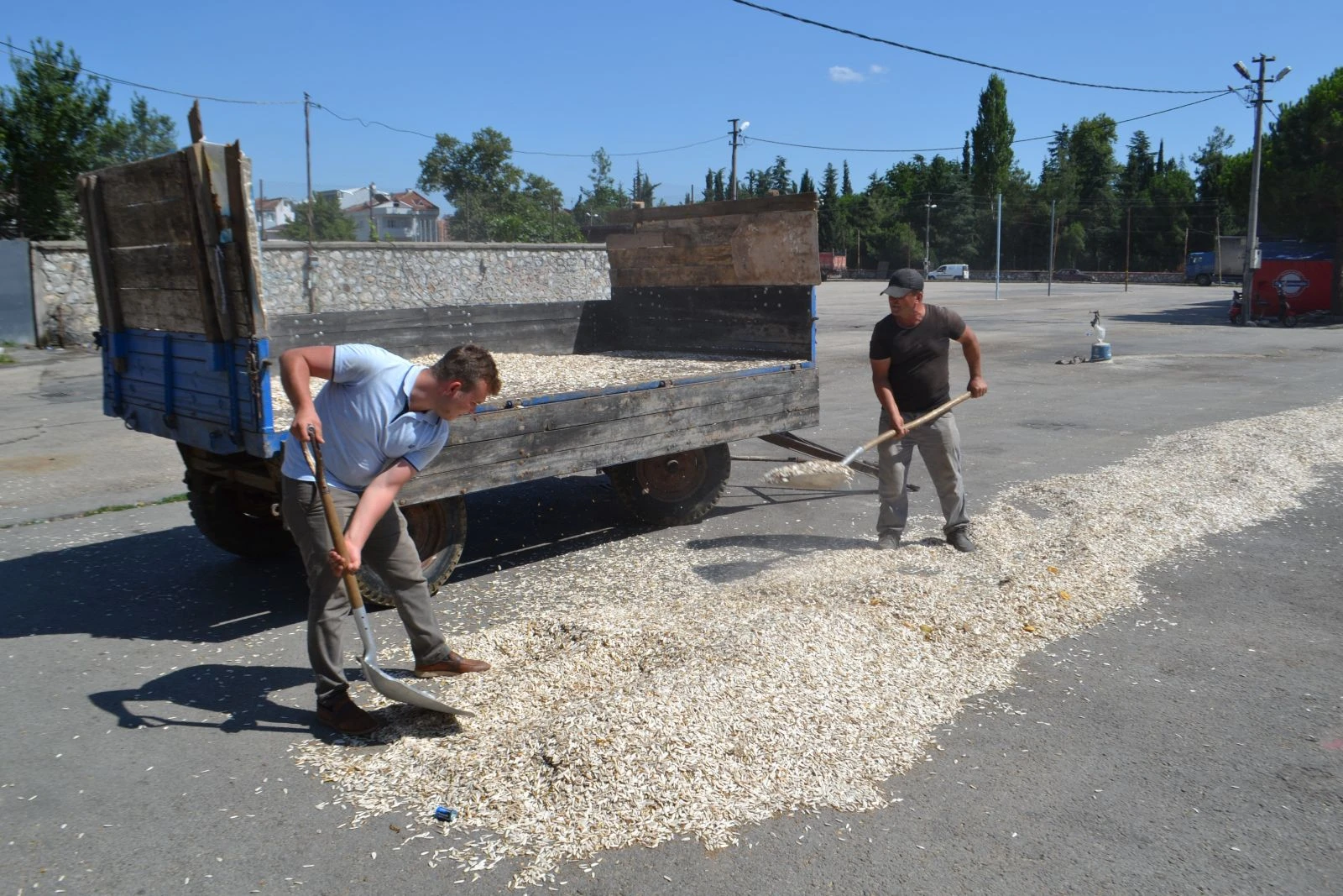 Bu çekirdek çifte değil yolda kavrulmuş