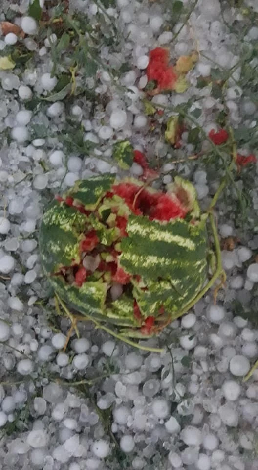 Ceviz büyüklüğünde dolu yağdı