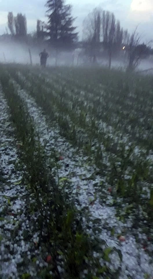 Ceviz büyüklüğünde dolu yağdı