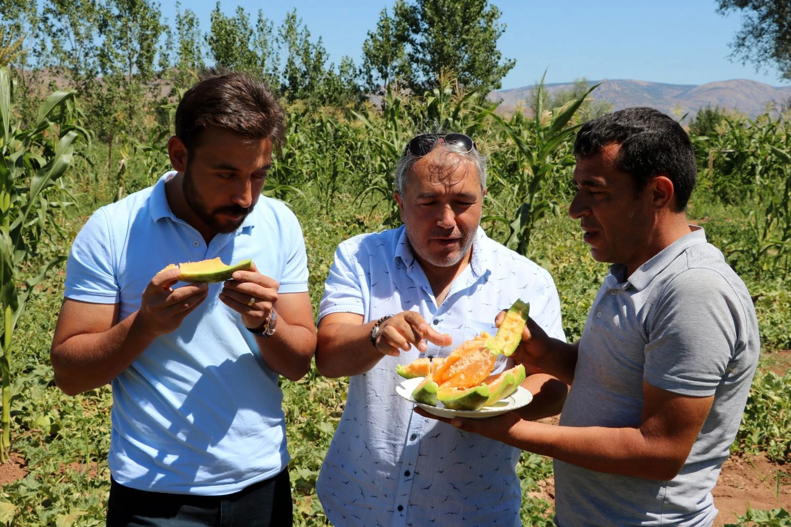 Yozgat’ta yetişiyor, şekli kavuna tadı muza benziyor