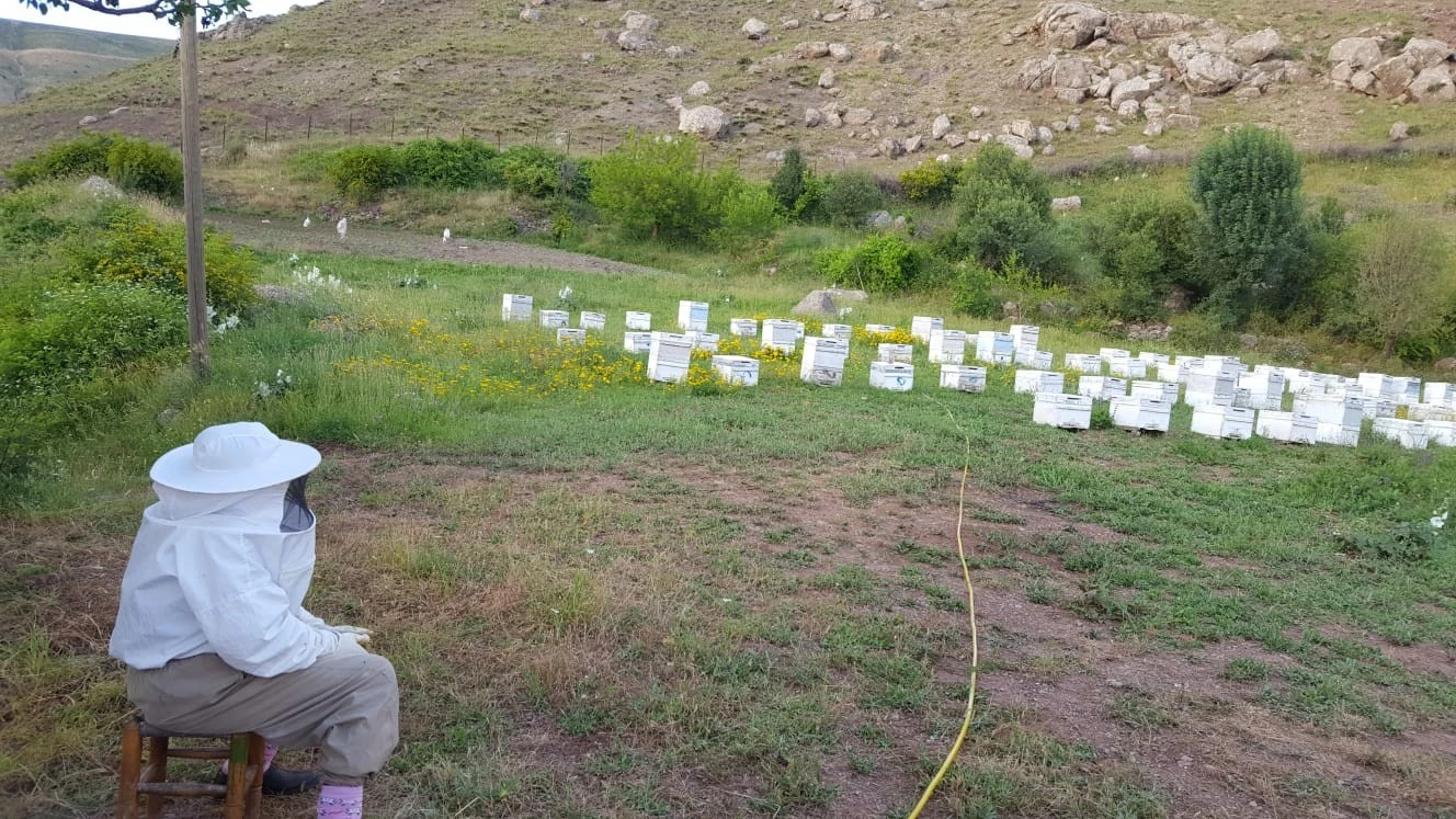 Üretimde artış yüzde 100, fiyatlar tepe taklak oldu