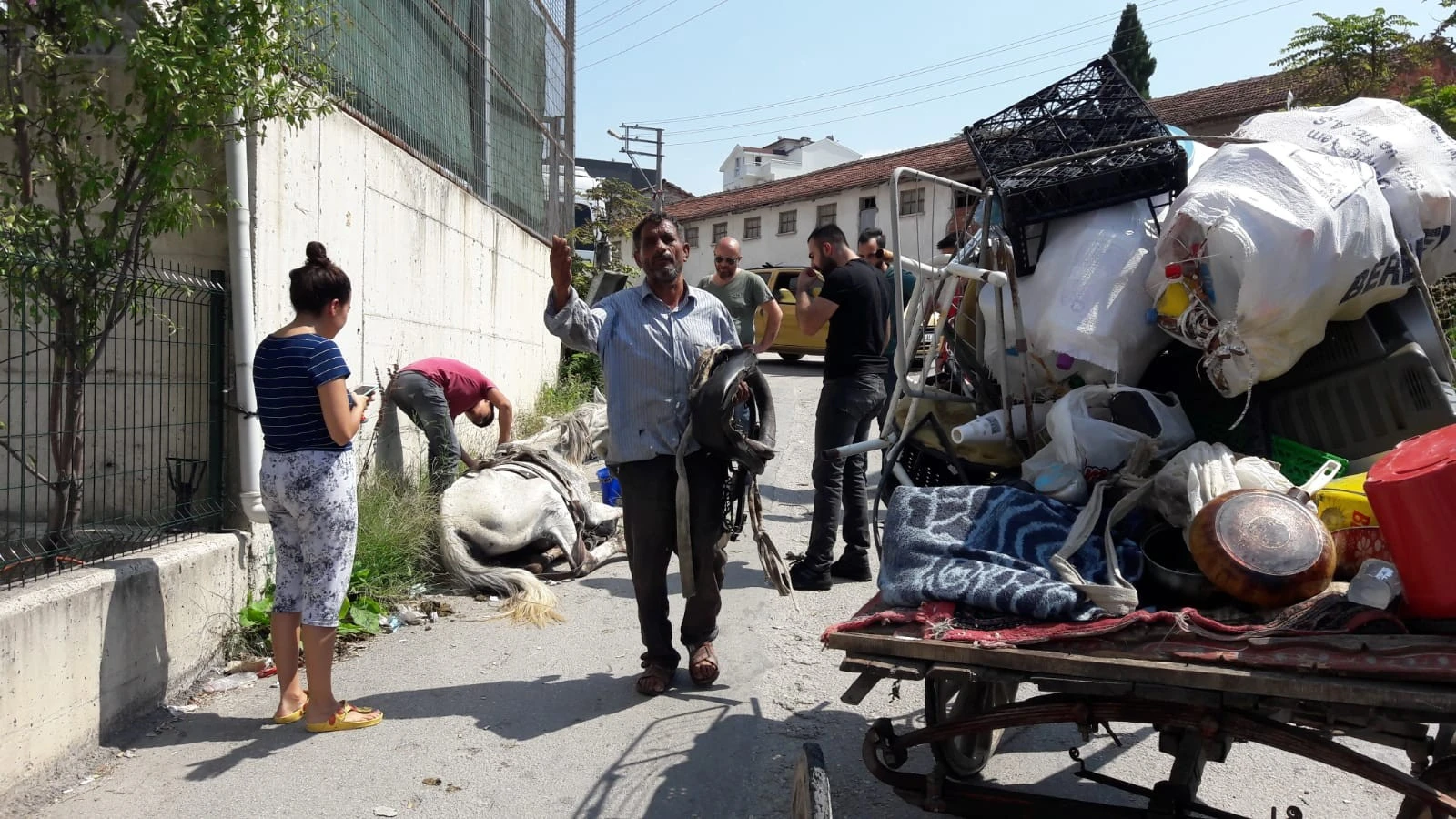 Yaralı atı sahibinin elinden JÖH personeli kurtardı