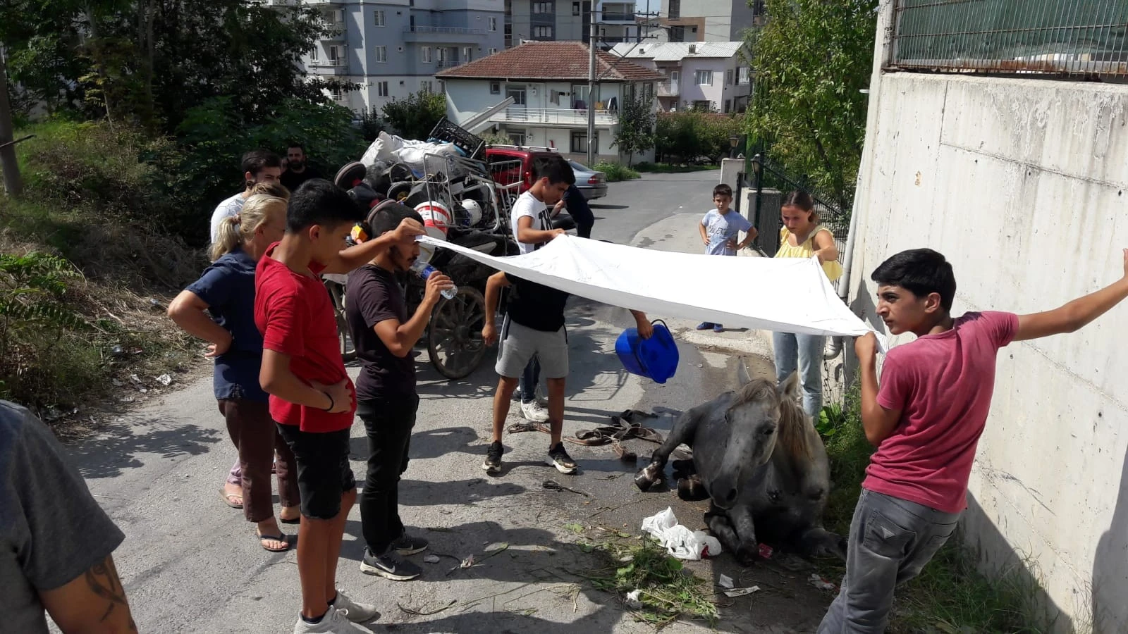 Yaralı atı sahibinin elinden JÖH personeli kurtardı