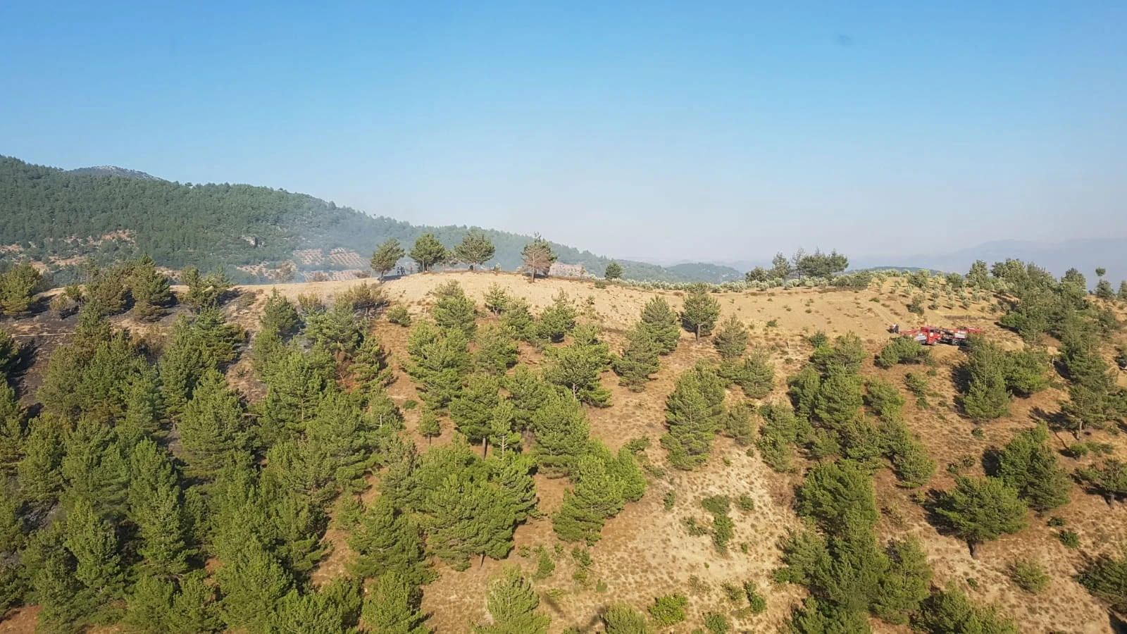 Hatay orman yangını