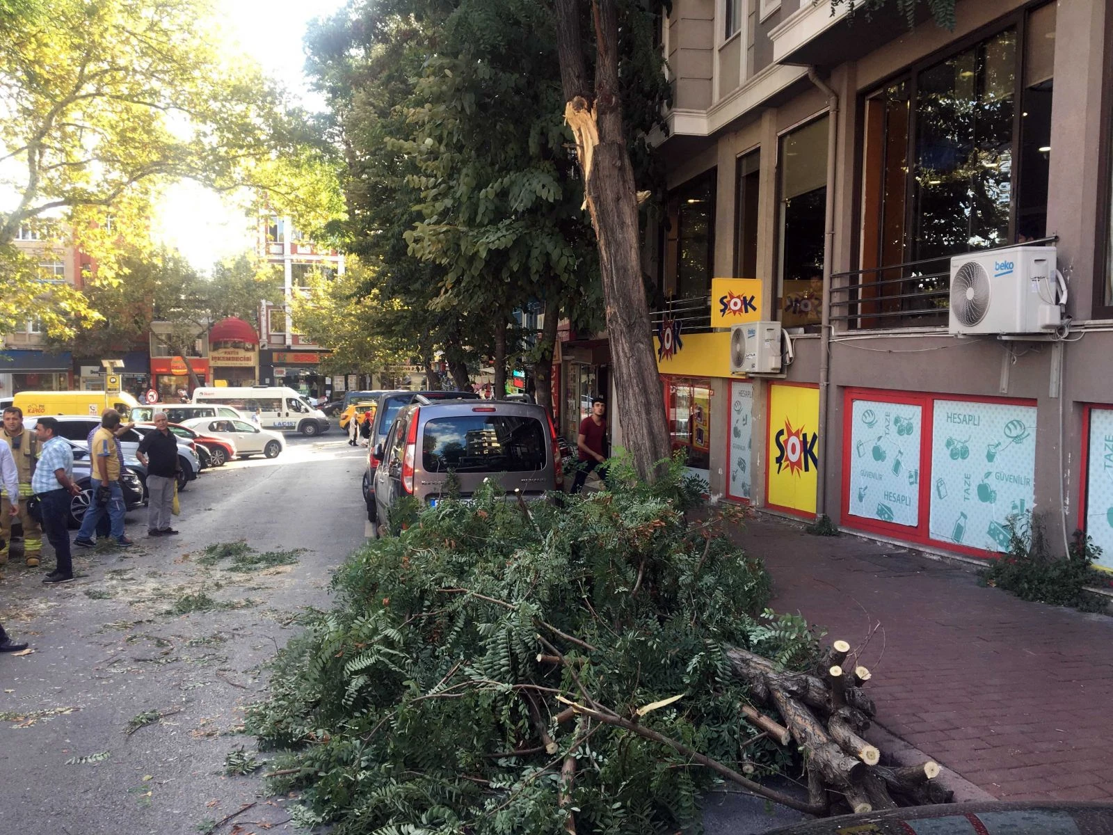 Şiddetli rüzgardan ağaç otomobilin üstüne devrildi
