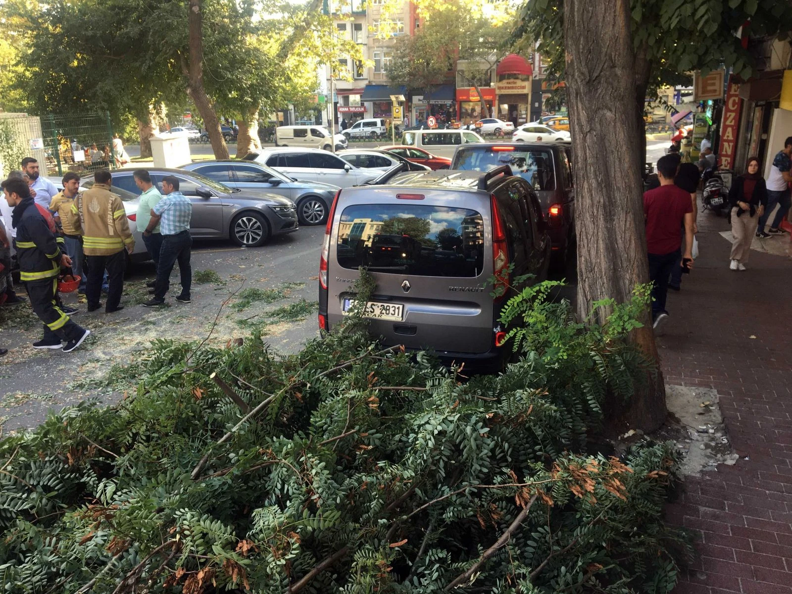 Şiddetli rüzgardan ağaç otomobilin üstüne devrildi