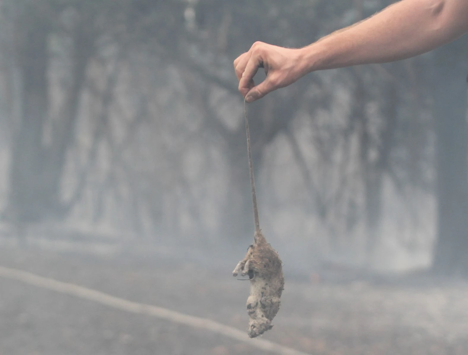 Antalya’da ormanlık alanda çıkan yangın korkuttu