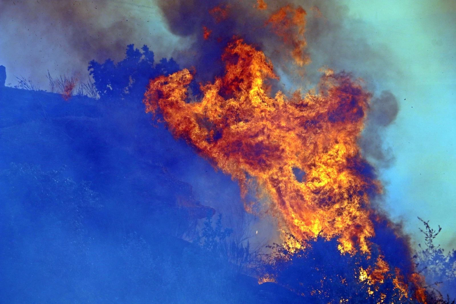 Antalya’da mahalleliyi sokağa döken yangın