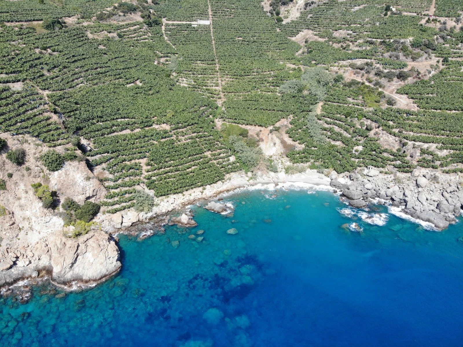 Tarlalardan sofraya zorlu yolculuk