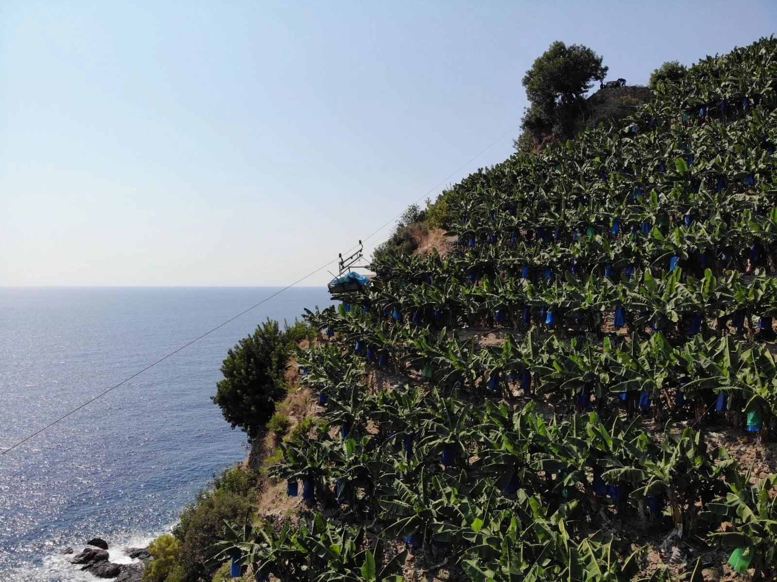 Tarlalardan sofraya zorlu yolculuk