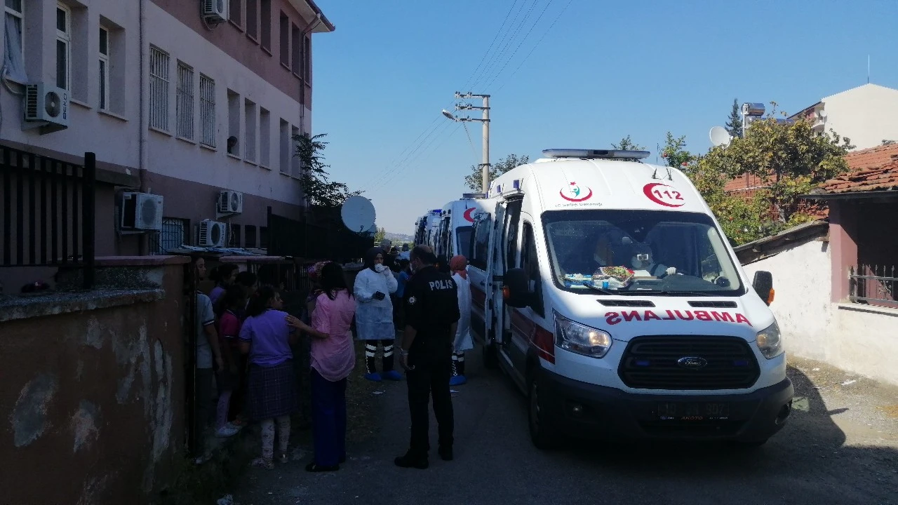 50'den fazla öğrenci hastaneye kaldırıldı