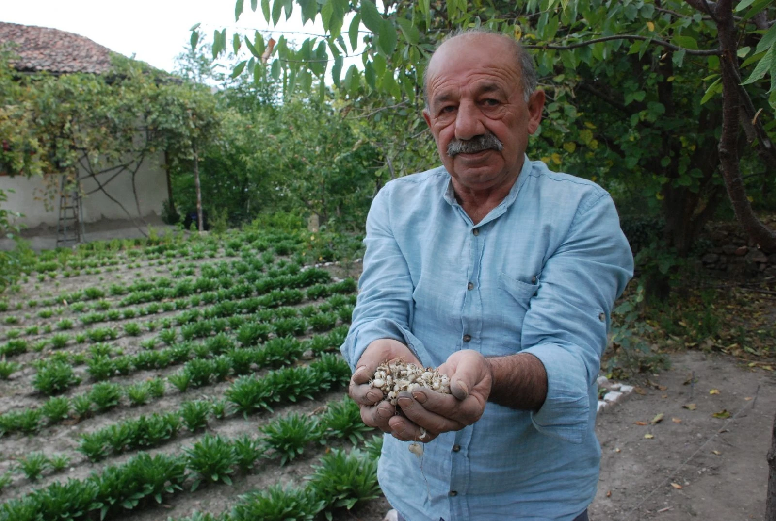 Çiçeği ayrı soğanı ayrı para ediyor