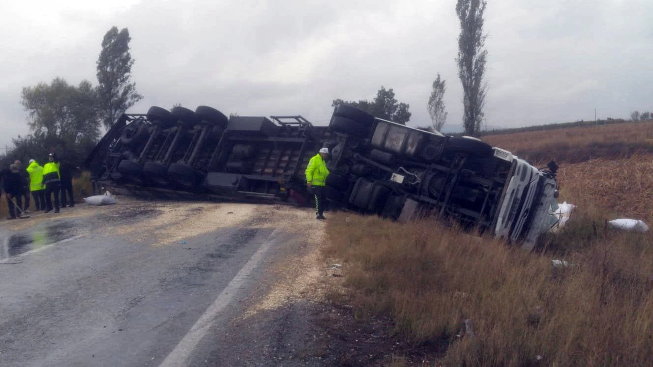 Çekirdek yüklü tır devrildi, yol trafiğe kapandı