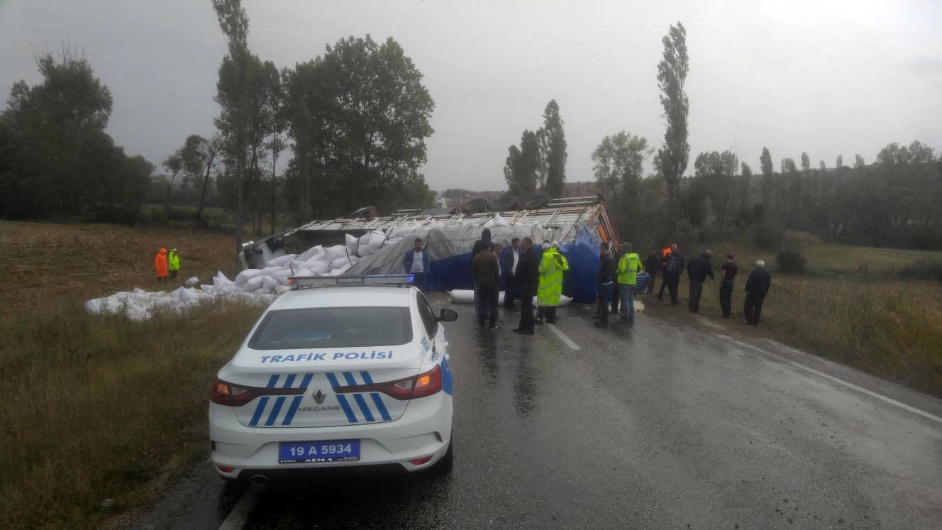 Çekirdek yüklü tır devrildi, yol trafiğe kapandı