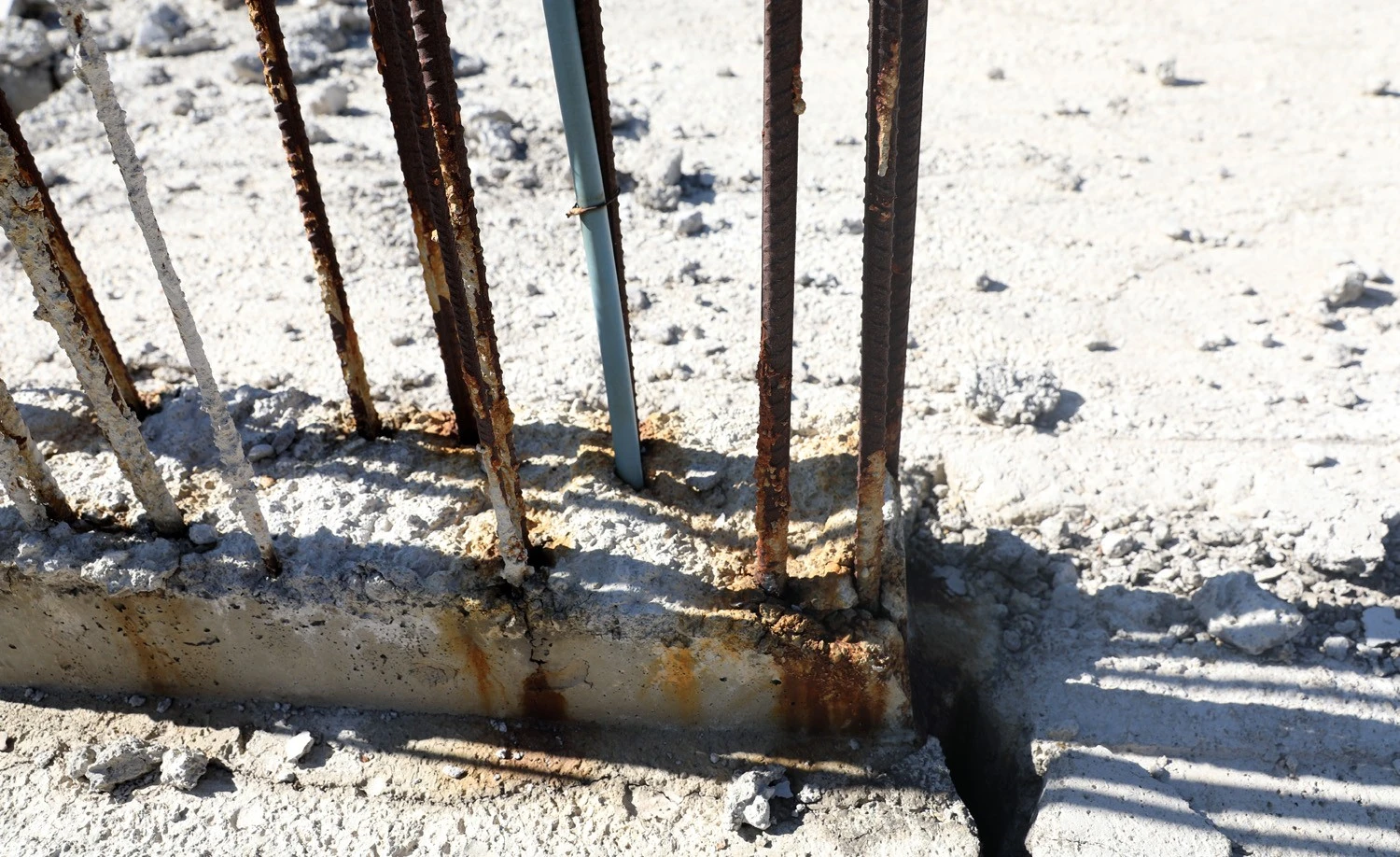 Erzurum'da facianın eşiğinden dönülmüş