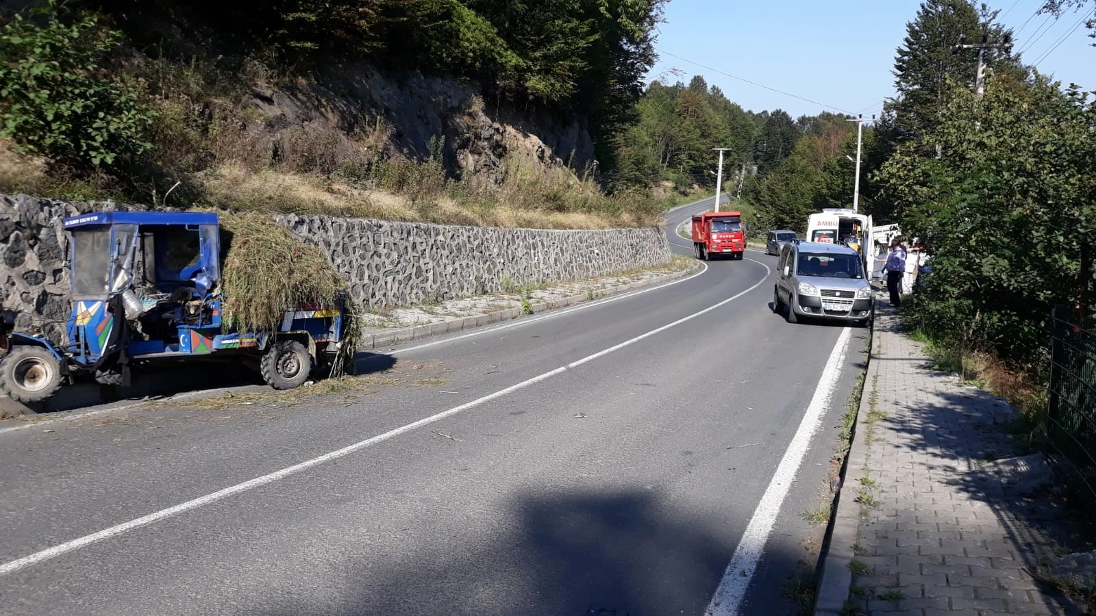 Ordu'da patpata çarpan pikap şarampole uçtu: 4 yaralı
