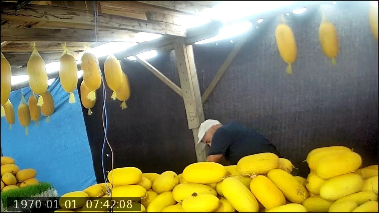 Güvenlik kamerasını inceleyen esnaf şaşkına döndü