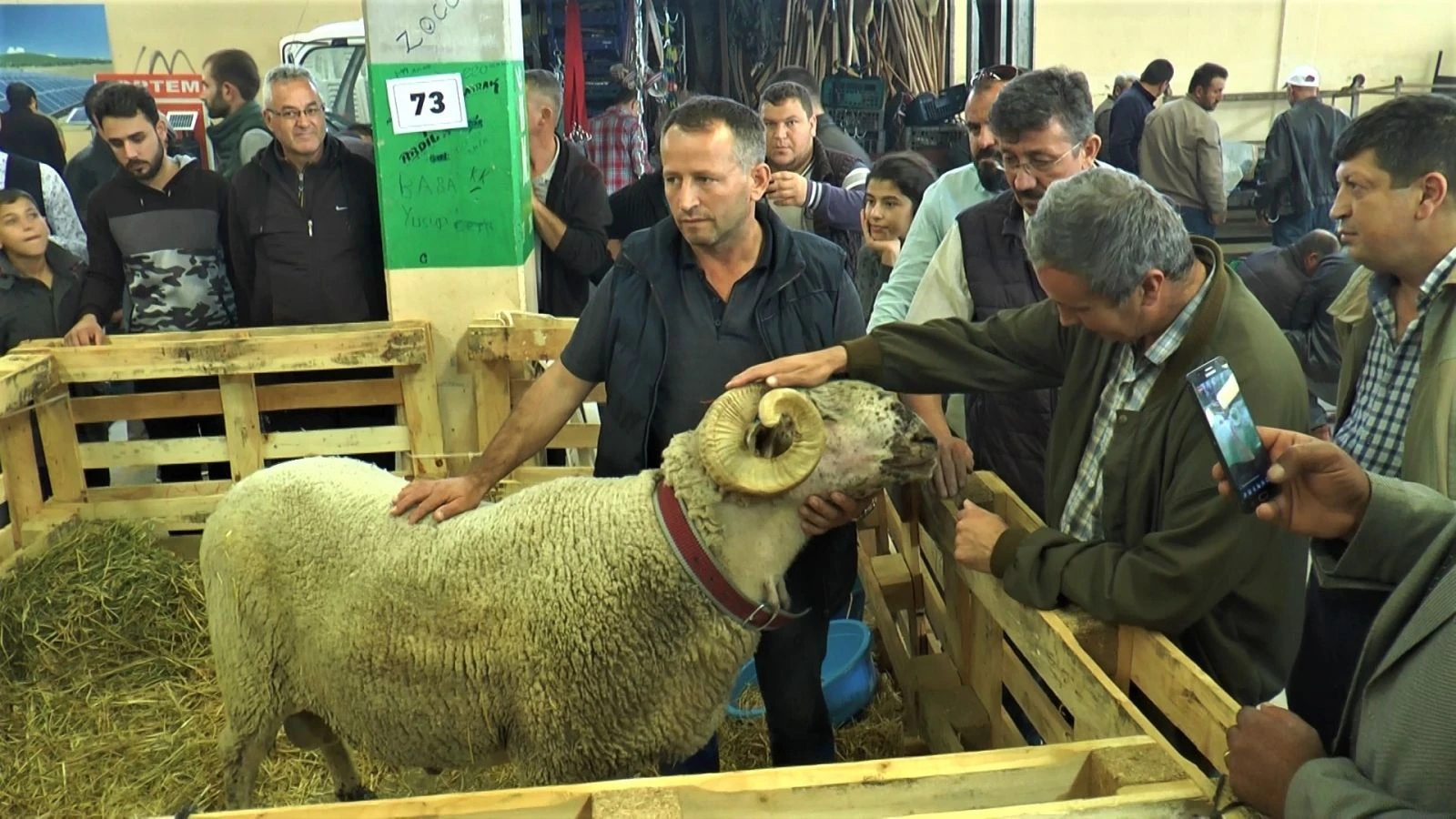 Görenleri hayrete düşüren koç