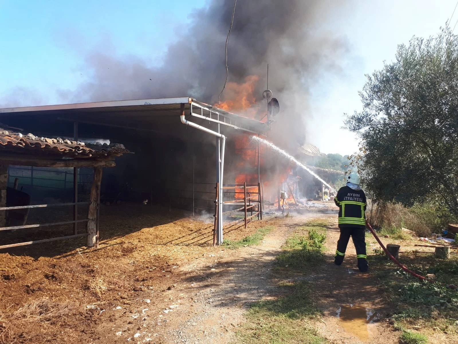 Evinin yanışını gözyaşları içinde izledi