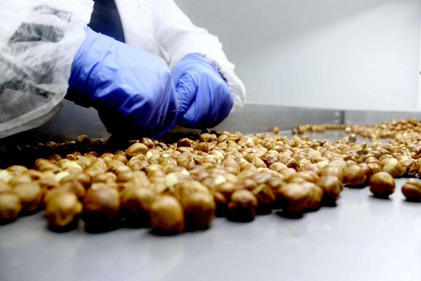 Fındığı 16 lira yerine 60 liradan satmanın yolunu buldular