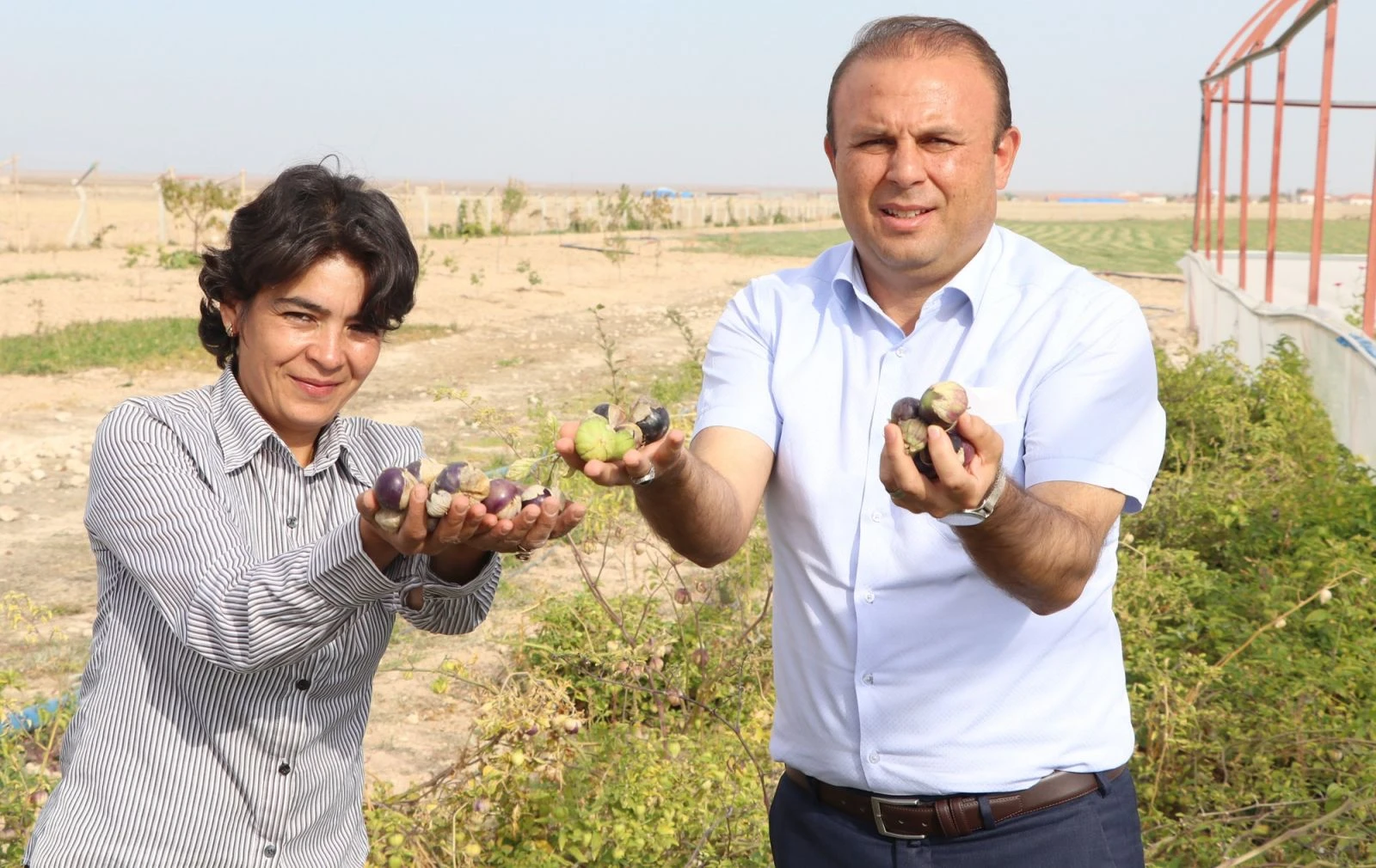 Yakalandığı meme kanserini kendi yetiştirdiği meyveyle yendi